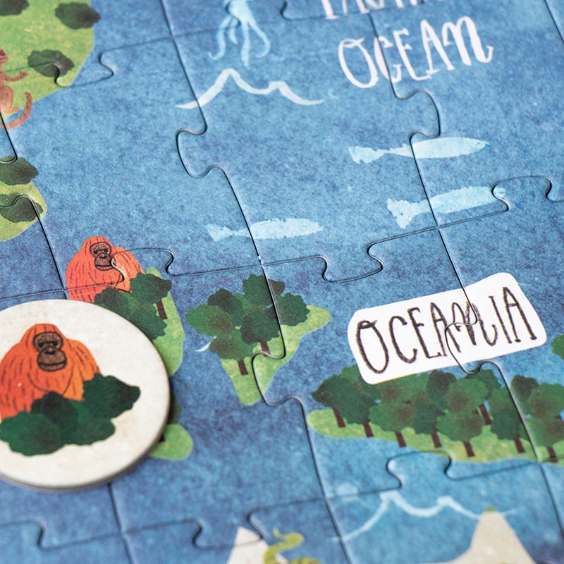 world countries map puzzle